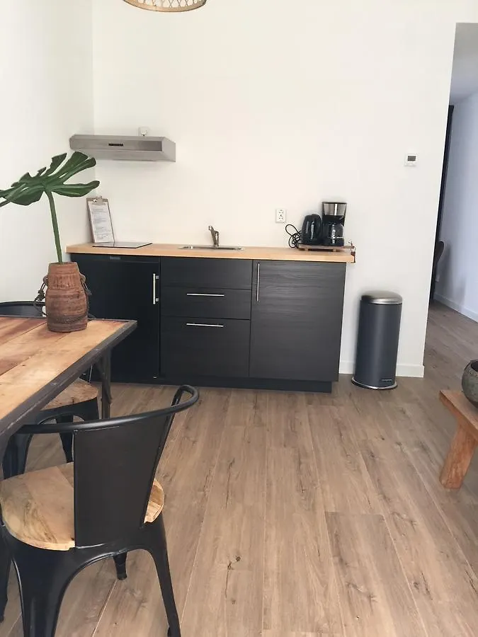 Appartementen Zeespiegel Zandvoort